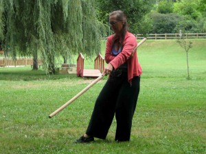taiji stok, gun shu