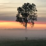 zonsondergang noorder poort